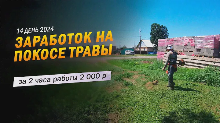14 | За 2 часа работы 2000 рублей. Заработок в деревне на покосе травы триммером.